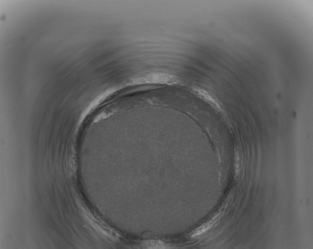 X0000062860392200601201734