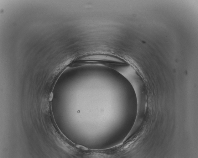 X0000062860393200601201734