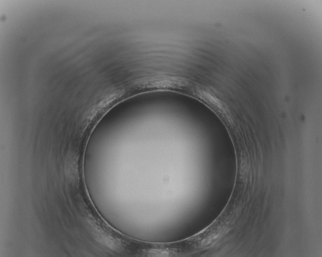 X0000062860394200601201734