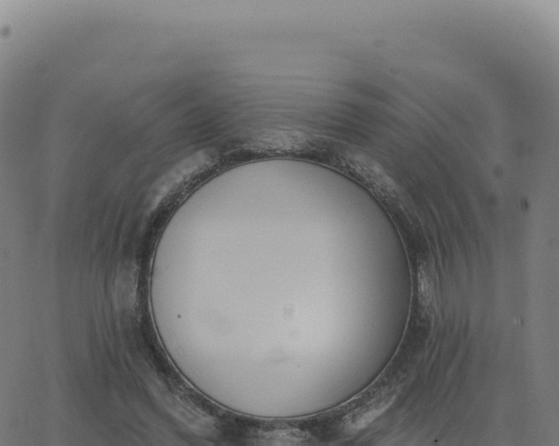 X0000062860396200601201734