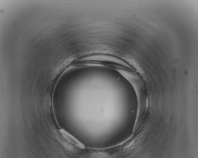 X0000062860397200601201734