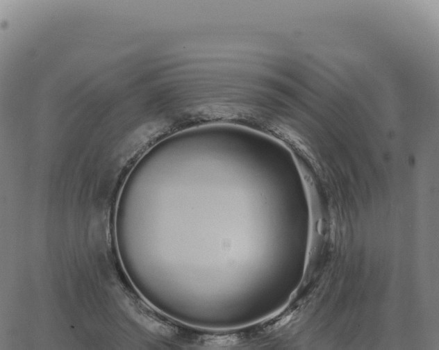 X0000062860398200601201734