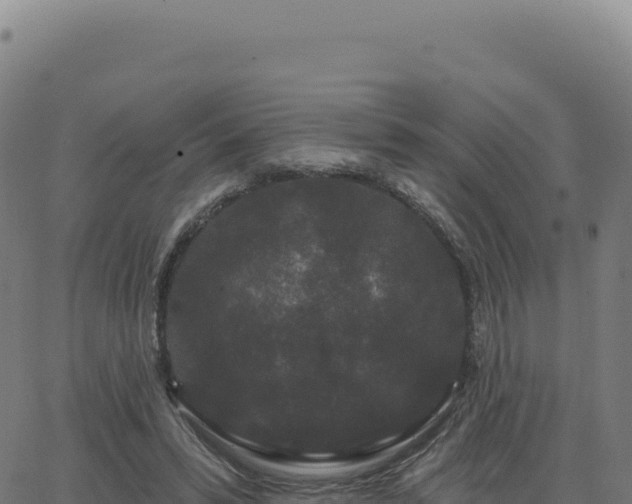 X0000062860399200601201734