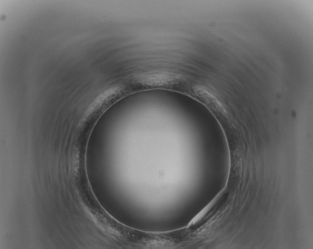 X0000062860400200601201734