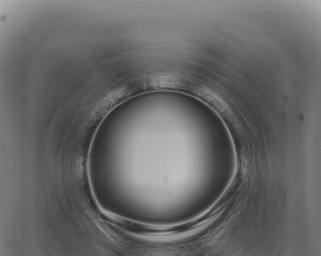 X0000062860401200601201734