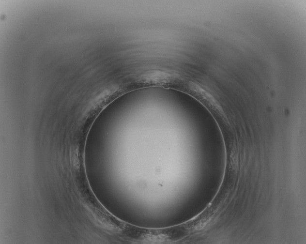 X0000062860403200601201734