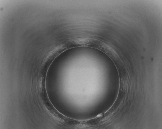 X0000062860404200601201734