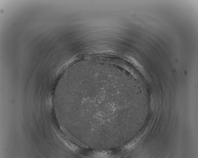 X0000062860405200601201734