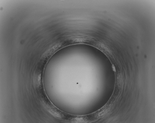 X0000062860406200601201734