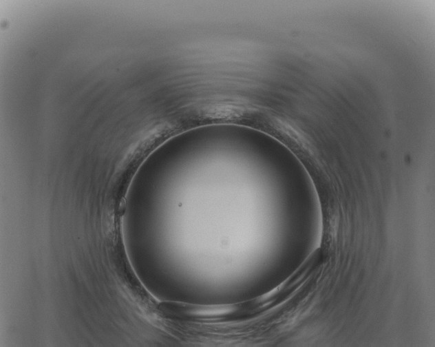 X0000062860407200601201734