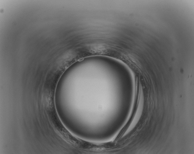 X0000062860408200601201734