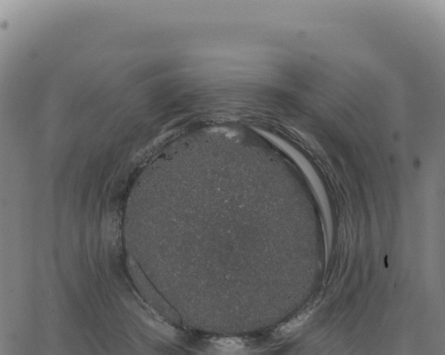 X0000062860409200601201734