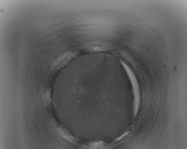 X0000062860410200601201734