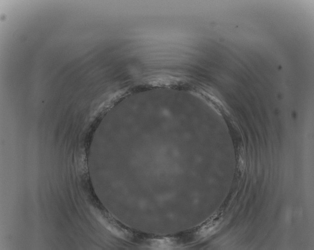 X0000062860411200601201734