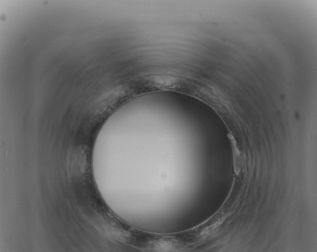 X0000062860412200601201734