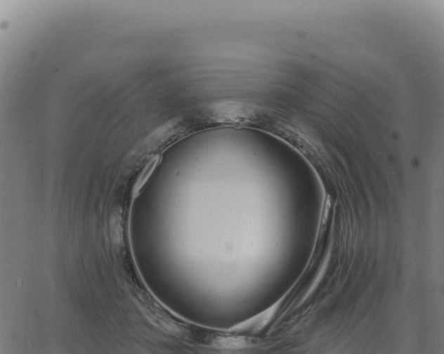 X0000062860413200601201734