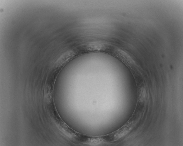 X0000062860414200601201734