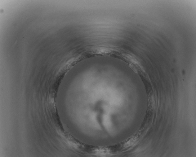 X0000062860415200601201734