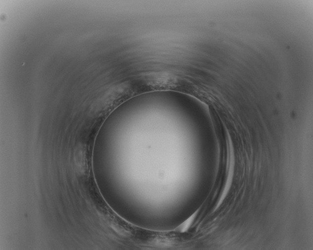 X0000062860416200601201734