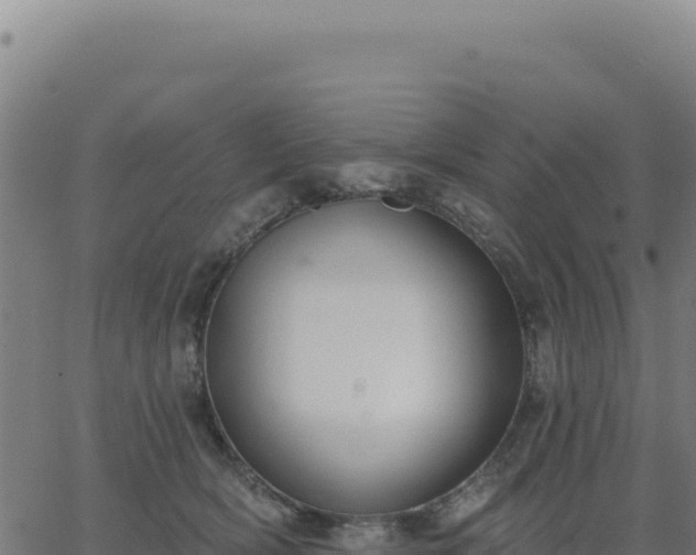 X0000062860418200601201734