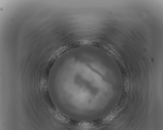 X0000062860419200601201734