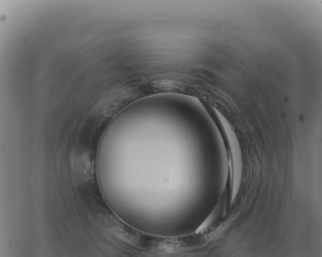 X0000062860420200601201734