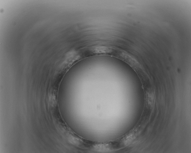 X0000062860422200601201734