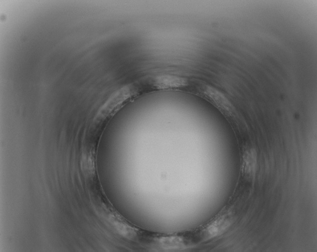 X0000062860426200601201734