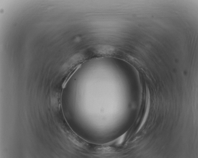 X0000062860428200601201733