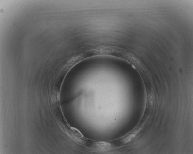 X0000062860429200601201733