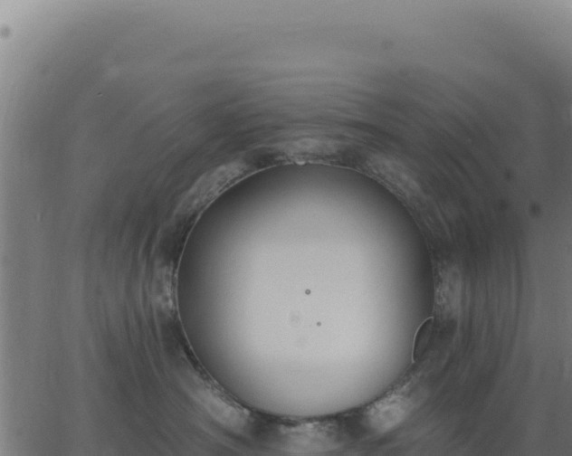 X0000062860430200601201733