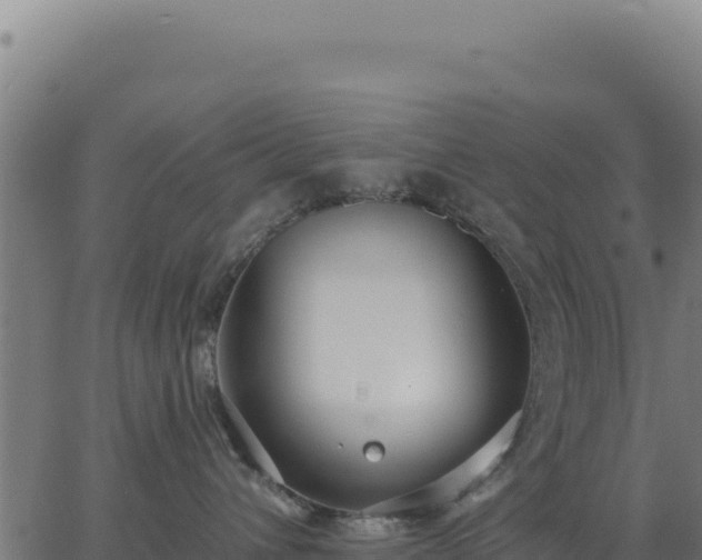 X0000062860432200601201733