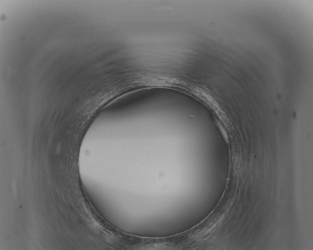 X0000062860433200601201733