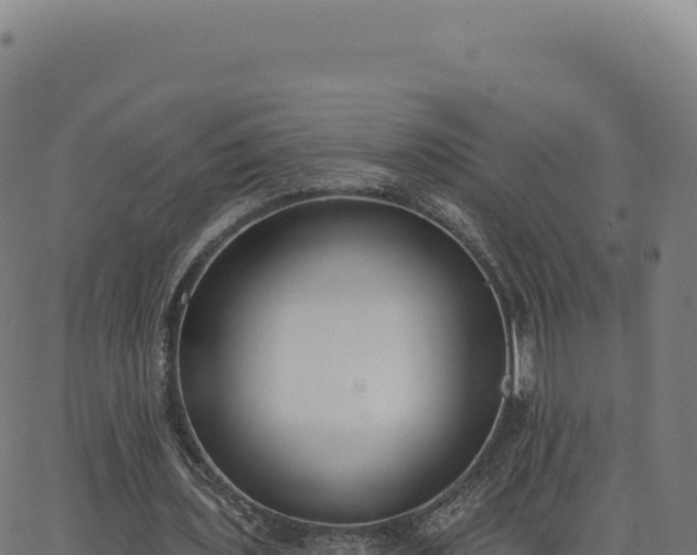 X0000062860435200601201733