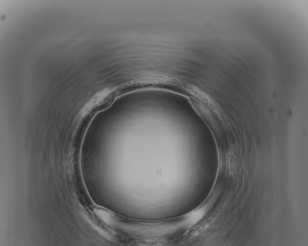 X0000062860436200601201733