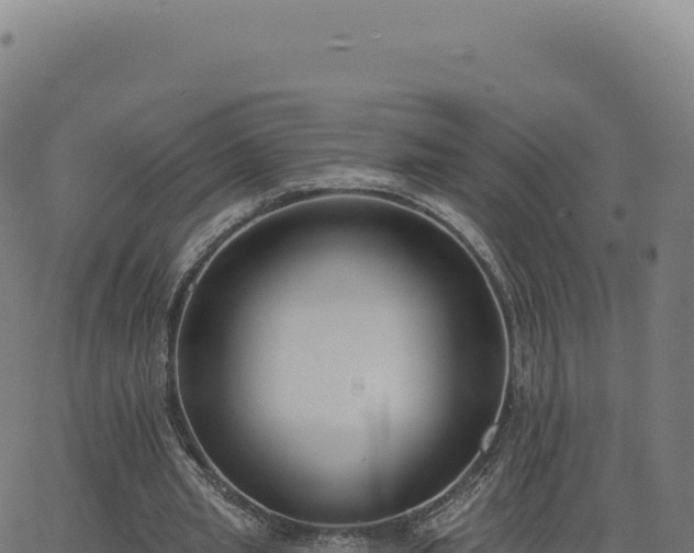 X0000062860437200601201733