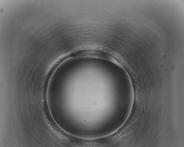 X0000062860438200601201733