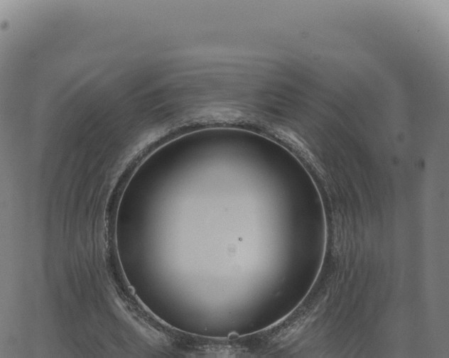 X0000062860439200601201733