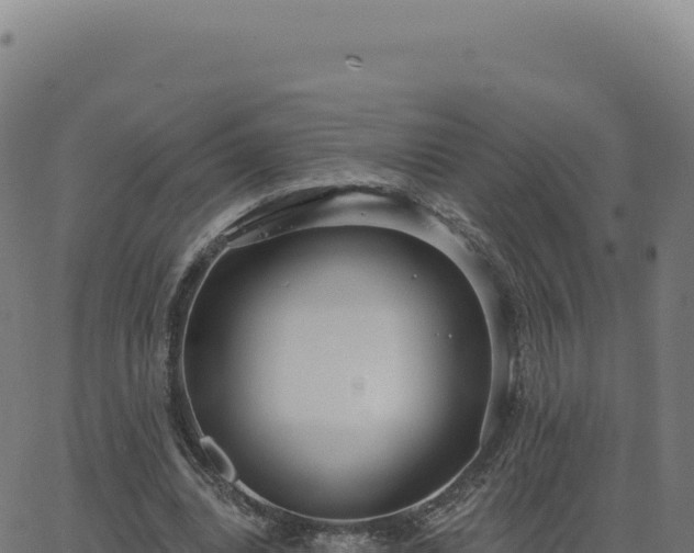 X0000062860440200601201733