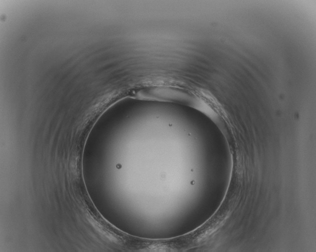 X0000062860441200601201733