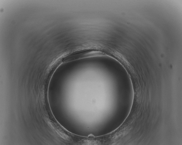 X0000062860442200601201733