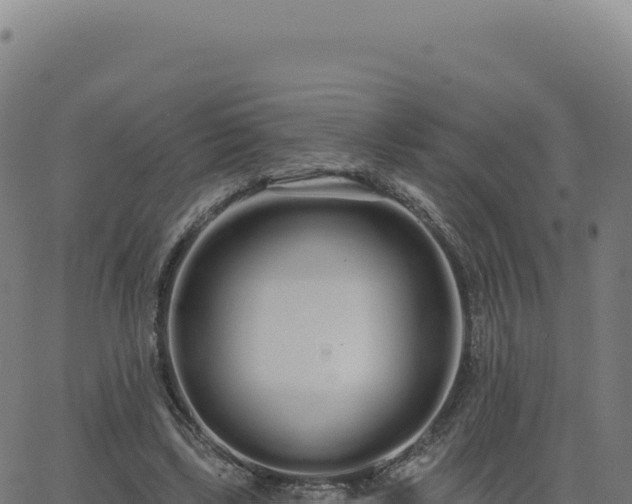 X0000062860443200601201733