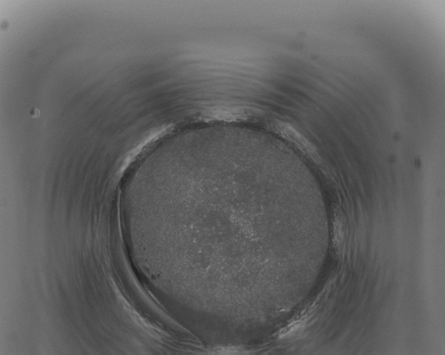 X0000062860444200601201733