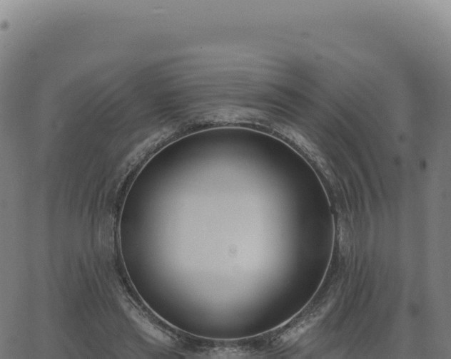 X0000062860445200601201733