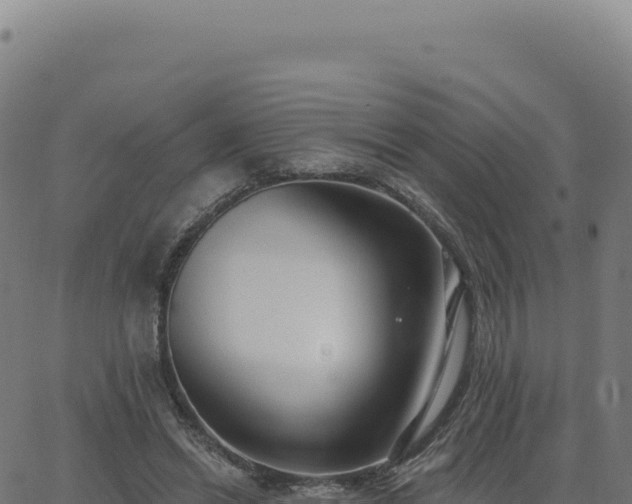 X0000062860446200601201733