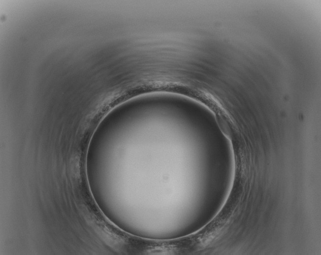 X0000062860447200601201733