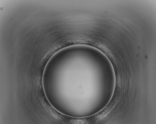 X0000062860449200601201733