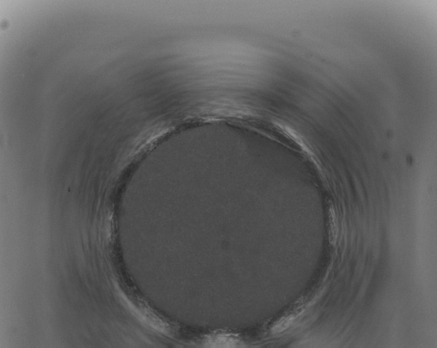 X0000062860451200601201733