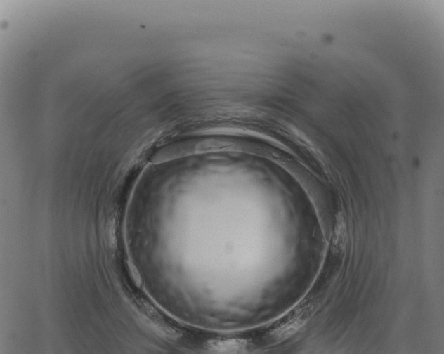 X0000062860452200601201733