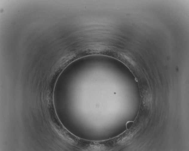 X0000062860455200601201733